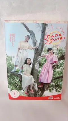 カムカムエヴリバディ 完全版 BOXブルーレイDVD1.2.3 カムカムエヴリバディ 完全版 BOXブルーレイDVD1.2.3