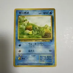旧裏 ゼニガメ 拡張シート ウォーターパワー lv.15 - メルカリ