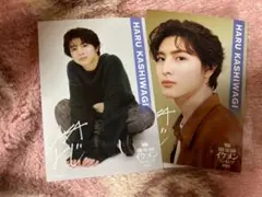 ViVi国宝級イケメンランキング2023  柏木悠　ブロマイド D-4