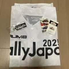 WRC FORUM8 Rally Japan 2025