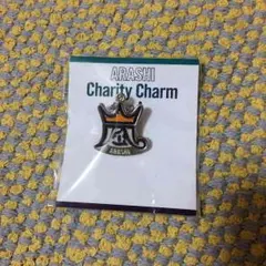 嵐 BeautifulWorld チャーム