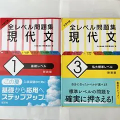 大学入試 全レベル問題集 現代文 1 基礎レベル 3 私大標準レベル 2冊セット