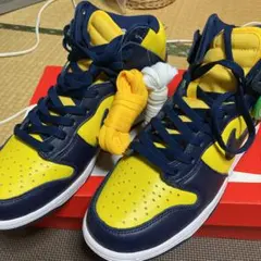 本日限定❗️NIKE DUNK HI SP ナイキダンクハイ　ミシガン