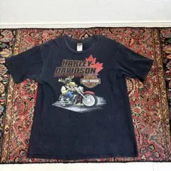 8T8403 HARLEY-DAVIDSON Tシャツ USA製 Hanes - メルカリ
