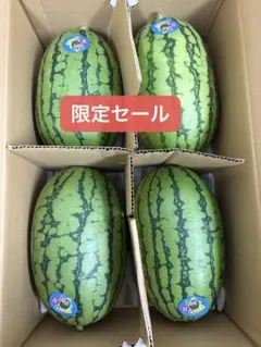 産地直送！小玉スイカウリ坊4玉入！甘くて美味しい！箱込9.5~10キロ前後のサムネイル