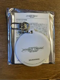 seventeen RIGHT HERE COVER KEYRING スングァン