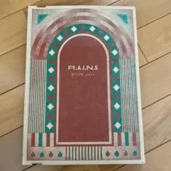 R.A.I.N.S BOOK 2020