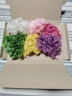 Item thumbnail for item 99d16aae-dd88-424f-b803-c8f480f6443d