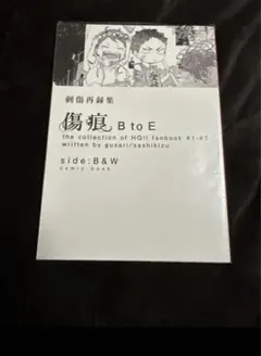 ハイキュー同人誌　刺傷　9冊 + 特典クリアファイルセット 2025年最新】ハイキュー 同人 キヅナツキの人気アイテム - メルカリ