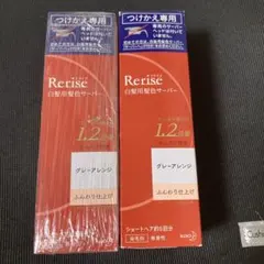 未使用 リライズ 白髪染め つけかえ グレーアレンジ ふんわり仕上げ 2本セットのサムネイル