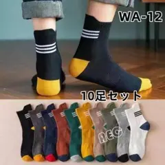 WA12 ソックスくつした 枚目 色セット 限定カラー くるぶし丈[zpN1