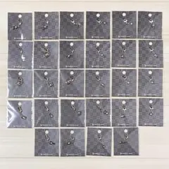 ポケモン 全国ずかんメタルチャーム アンノーン A-Z ! ? 28種セット