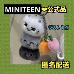 ぬいぐるみ Jun.m 2025年最新】seventeen jun ぬいぐるみの人気アイテム - メルカリ