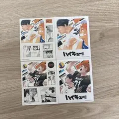 ハイキュー 日向翔陽 影山飛雄