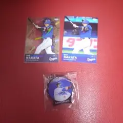 中日ドラゴンズ　中田翔セット