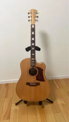 2025年最新】cole clark fl2の人気アイテム - メルカリ