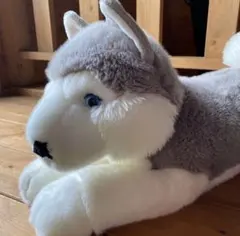 ハスキー　ぬいぐるみ 　レゴランドのサムネイル
