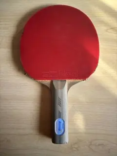 Nittaku RISINGラケット