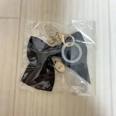 仮面ライダーガヴ シータとジープの永遠の証リボンチャーム 〜これで