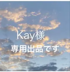 Kay様専用！ niko and... 1点