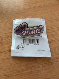 シュント　シリコンピンズ　ファンミ
