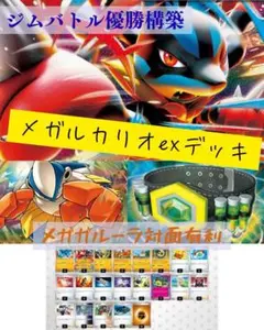 メガルカリオex 構築済みデッキ