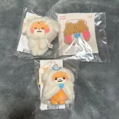 2026年最新】zeroni ビニニの人気アイテム - メルカリ