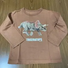 シュライヒ　トリケラトプス　ロンT 100 恐竜