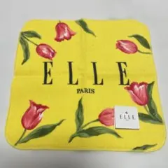 Item thumbnail for item c17874e1-a900-48c3-876c-9648ff3d1fed