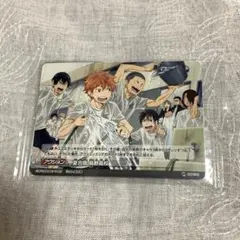 ハイキュー‼︎ バボカ 夏合宿　プロモ　カード 烏野高校 青葉城西 音駒高校