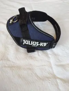 Item thumbnail for item 51035947-6a40-4c1e-a74e-c4b313d3f7f1