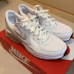 NIKE ナイキ　エアマックス　エクシー　CD5432-141