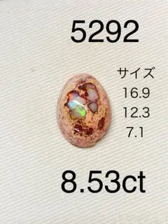 Bibi様 リクエスト 3点 まとめ商品