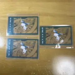 鬼滅の刃 ジャンプショップ クリアカードコレクション 第一弾 嘴平伊之助