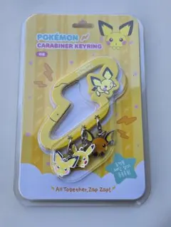 ポケモン カラビナ 韓国 ポップアップ 30周年 パチリス プラスル
