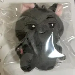 ENHYPEN ジェイ ぬいぐるみ マスター - メルカリ