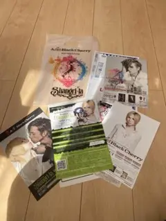 Acid Black Cherry Shangri-la 袋付き フライヤー