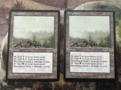 低木林地 / Brushland 4枚 [ICE]