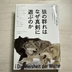 狼の群れはなぜ真剣に遊ぶのか　エリ・H・ラディンガー