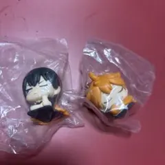 ハイキュー 日向翔陽 影山飛雄 ねむらせ隊 バラ売り可