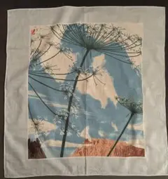 新品未使用⭐️田中一村⭐️絵画（複製画） Amazon.co.jp: 田中一村記念美術館製 絵柄3種 奄美の森「不喰芋