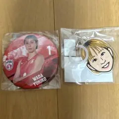 バレーボール女子日本代表 アクリルマーカー 缶バッジ 6点セット
