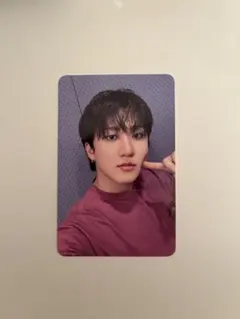 Stray Kids スキズ DO IT accordion チャンビン