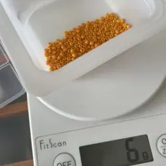 イエロー 系　丸ビーズ 6gから7g