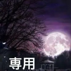 コクラン様 リクエスト 3点 まとめ商品