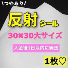 영様 リクエスト 3点 まとめ商品