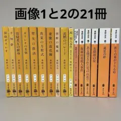 東野圭吾 21冊セット 文庫19単行本2のサムネイル