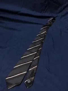 Item thumbnail for item 53be5645-8539-4e74-b5f3-68b93579a0b1