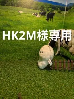 HK2M様専用　専用ページ　専用出品　ふぁみ