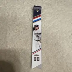 東京ヤクルトスワローズ　ボンフィン　赤羽由紘